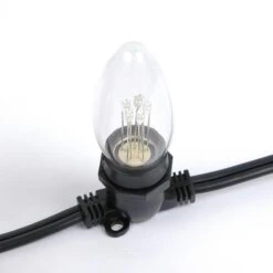 Assorted Smooth Glass C9 LED Bulbs - 25pk -Christmas Lights Series 0005612 assorted smooth glass c9 led bulbs 25pk