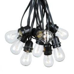 50 Clear S14 Commercial Grade Light String Set On 100' Of Black Wire -Christmas Lights Series 0009808 50 clear s14 commercial grade light string set on 100 of black wire