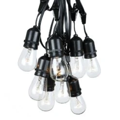 25 Clear S14 Commercial Grade Suspended Light String Set On 37.5' Of Black Wire -Christmas Lights Series 0009858 25 clear s14 commercial grade suspended light string set on 375 of black wire