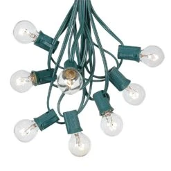 100 G30 Globe String Light Set With Clear Bulbs On Green Wire -Christmas Lights Series 0010016 100 g30 globe string light set with clear bulbs on green wire