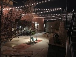 Warm White - G40 Glass LED Replacement Bulbs - 25 Pack 9 Warm White - G40 Glass LED Replacement Bulbs - 25 Pack -Christmas Lights Series 0011839 warm white g40 glass led replacement bulbs 25 pack