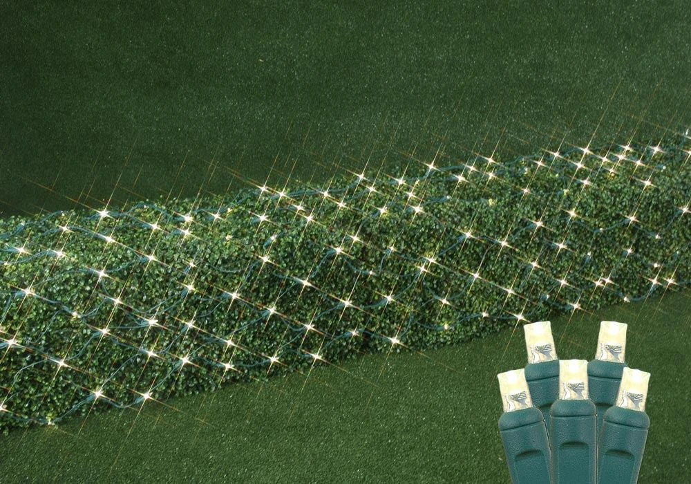 Warm White LED Net Lights 2x10 Green Wire 2 Warm White LED Net Lights 2x10 Green Wire - Image 2