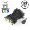 Commercial Grade Wide Angle 100 LED Warm White 34' Long Black Wire