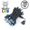 Commercial Grade Wide Angle 100 LED Pure White 50' Long On Black Wire
