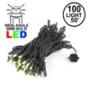 Commercial Grade Wide Angle 100 LED Warm White 50' Long On Black Wire