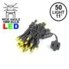 50 LED Yellow LED Christmas Lights 11' Long On Black Wire