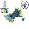 Multi 70 LED C6 Strawberry Mini Lights Commercial Grade On Green Wire