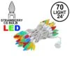 Multi 70 LED C6 Strawberry Mini Lights Commercial Grade On White Wire