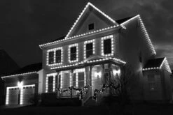 Pure White C9 LED Replacement Bulbs 25 Pack 7 Pure White C9 LED Replacement Bulbs 25 Pack -Christmas Lights Series 0019641 pure white c9 led replacement bulbs 25 pack