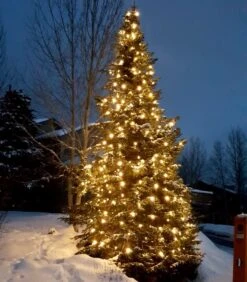 Warm White C7 LED Replacement Bulbs 25 Pack -Christmas Lights Series 0019888 warm white c7 led replacement bulbs 25 pack