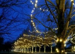 Commercial Grade Wide Angle 100 LED Warm White 50' Long On Brown Wire -Christmas Lights Series 0020530 commercial grade wide angle 100 led warm white 50 long on brown wire