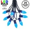 25 Light String Set With Blue LED C7 Bulbs On Black Wire