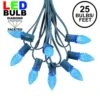 25 Light String Set With Blue LED C7 Bulbs On Green Wire
