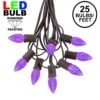 25 Light String Set With Purple LED C7 Bulbs On Brown Wire