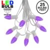 25 Light String Set With Purple LED C7 Bulbs On White Wire