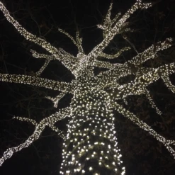 Commercial Grade Wide Angle 50 LED Pure White 25' Long On Green Wire -Christmas Lights Series 0020985 commercial grade wide angle 50 led pure white 25 long on green wire