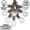 100 G50 Globe Light String Set With Clear Bulbs On Brown Wire