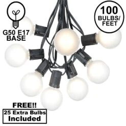 100 G50 Globe Light String Set With Frosted Bulbs On Black Wire