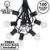 100 G30 Globe String Light Set With Clear Bulbs On Black Wire