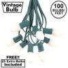 100 C7 String Light Set With White Ceramic Bulbs On Green Wire
