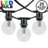 25 Warm White LED G50 Commercial Grade Intermediate Base Light Set