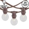 25 Clear G30 Commercial Grade Candelabra Base Light Set - Brown Wire