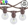 25 Warm White LED G30 Commercial Grade Candelabra Base Light Set - Brown Wire