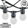 100 Clear G30 Commercial Grade Candelabra Base Light Set