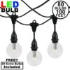 80 Warm White G50 LED Suspended Commercial Grade Intermediate Base Light Set