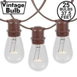 25 Clear S14 Commercial Grade Light String Set On 37.5' Of Brown Wire
