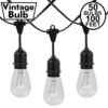 50 S14 Clear Commercial Grade Suspended Light String Set On 100' Of Black Wire