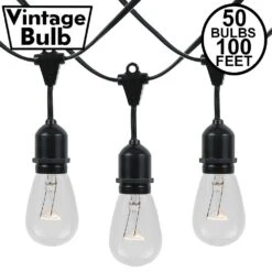 50 S14 Clear Commercial Grade Suspended Light String Set On 100' Of Black Wire