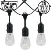 25 Clear S14 Commercial Grade Suspended Light String Set On 37.5' Of Black Wire