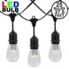 25 LED S14 Warm White Commercial Grade Suspended Light String Set On 37.5' Of Black Wire