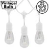 25 Clear S14 Commercial Grade Suspended Light String Set On 37.5' Of White Wire