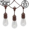 25 Clear S14 Commercial Grade Suspended Light String Set On 37.5' Of Brown Wire