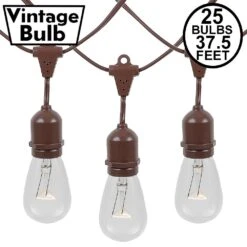 25 Clear S14 Commercial Grade Suspended Light String Set On 37.5' Of Brown Wire