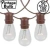 50 Clear S14 Commercial Grade Light String Set On 100' Of Brown Wire