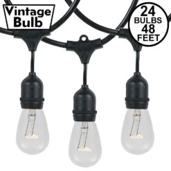 24 Clear S14 Commercial Grade Suspended Light String Set On 48' Of Black Wire