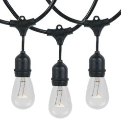 24 Clear S14 Commercial Grade Suspended Light String Set On 48' Of Black Wire -Christmas Lights Series 0022647 24 clear s14 commercial grade suspended light string set on 48 of black wire