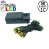 50 LED Battery Operated Lights Yellow On Green Wire