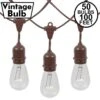 50 Clear S14 Commercial Grade Suspended Light String Set On 100' Of Brown Wire