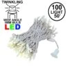 LED Curtain Twinkle Lights 100 LED Warm White Non-Connectable White Wire