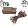 50 LED Battery Operated Lights Warm White Brown Wire