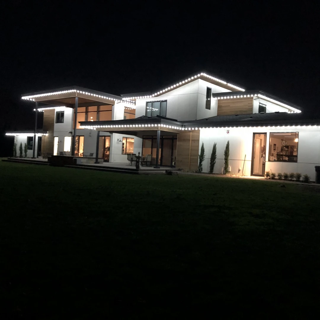 25 Light String Set With Pure White LED C7 Bulbs On Black Wire 2 25 Light String Set With Pure White LED C7 Bulbs On Black Wire - Image 2