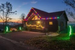 Twinkle Multi C7 LED Replacement Bulbs 25 Pack 8 Twinkle Multi C7 LED Replacement Bulbs 25 Pack -Christmas Lights Series 0024015 twinkle multi c7 led replacement bulbs 25 pack