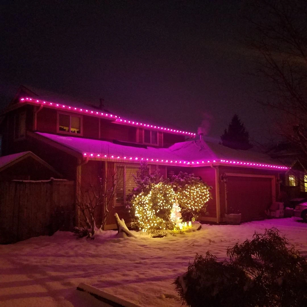100 G30 Globe String Light Set With Purple Satin Bulbs On Green Wire 2 100 G30 Globe String Light Set With Purple Satin Bulbs On Green Wire - Image 2