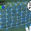 Blue LED Net Lights, White Wire, 4x6