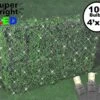 Warm White LED Net Lights 4x6 Black Wire