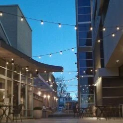 Pure White S14 LED Plastic Filament Medium Base E26 Bulbs - 25pk -Christmas Lights Series 0025318 pure white s14 led plastic filament medium base e26 bulbs 25pk